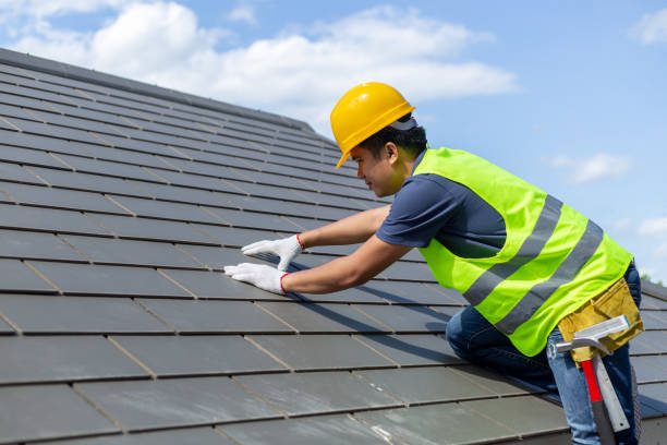 Best Roof Gutter Cleaning  in Dewitt, IA