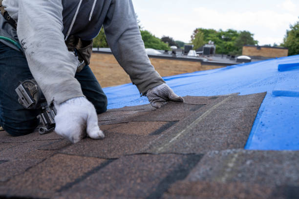 Best Storm Damage Roof Repair  in Dewitt, IA