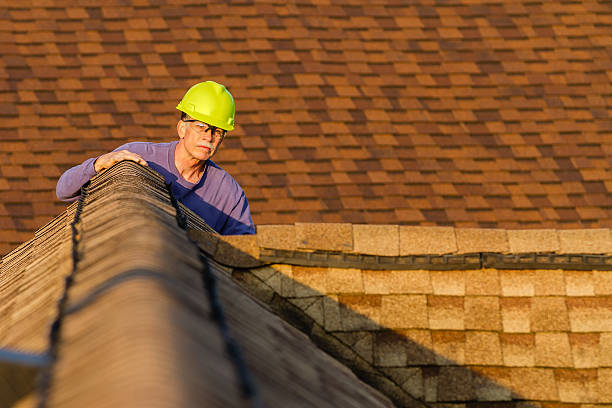 Trusted Dewitt, IA Roofing Contractor Experts