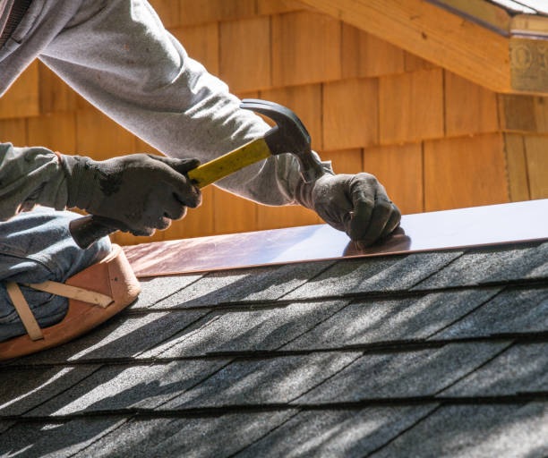 Roof Gutter Cleaning in Dewitt, IA